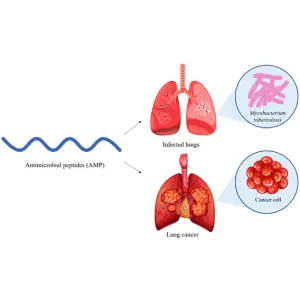 1747209101_Cancer, TB & Tumor Drugs.webp